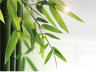 principais esforços conjuntos Para promover o desenvolvimento de A industria do bambu